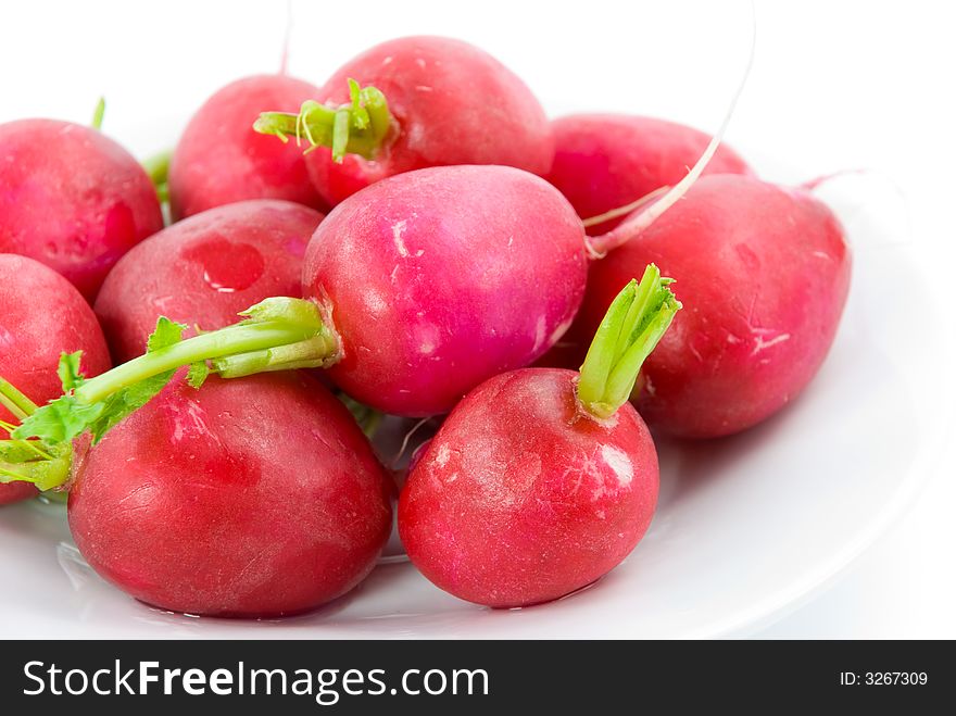 Radish in the plate . a close-up shot. Radish in the plate . a close-up shot.