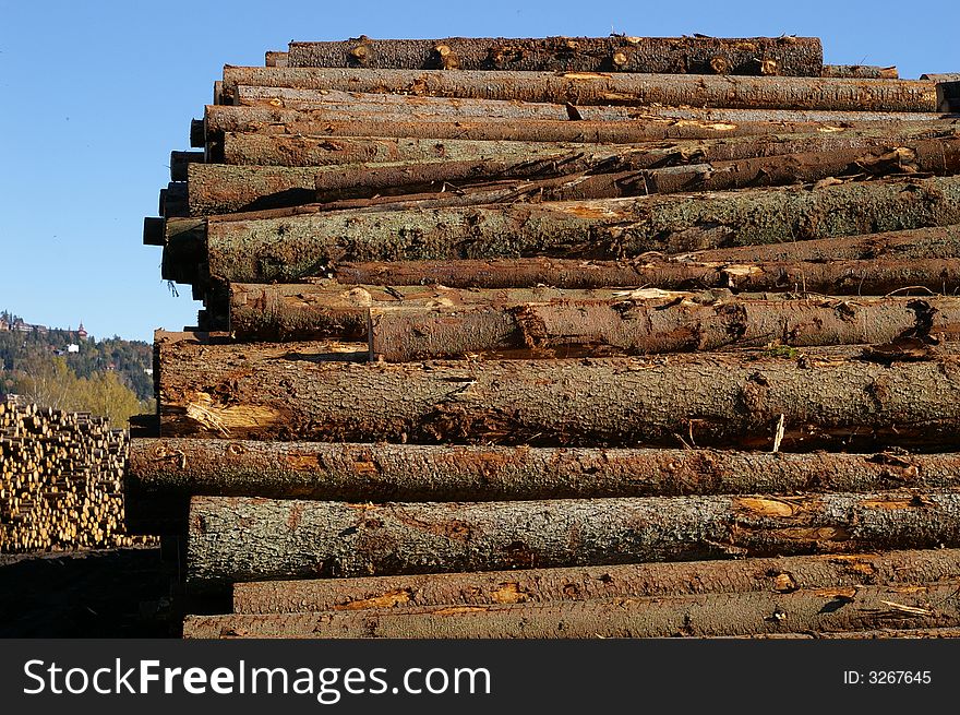 Stacks of log piles of spruce. Stacks of log piles of spruce