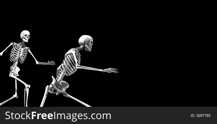 An x ray image of a group of skeletons. A suitable medical or Halloween based image. An x ray image of a group of skeletons. A suitable medical or Halloween based image.