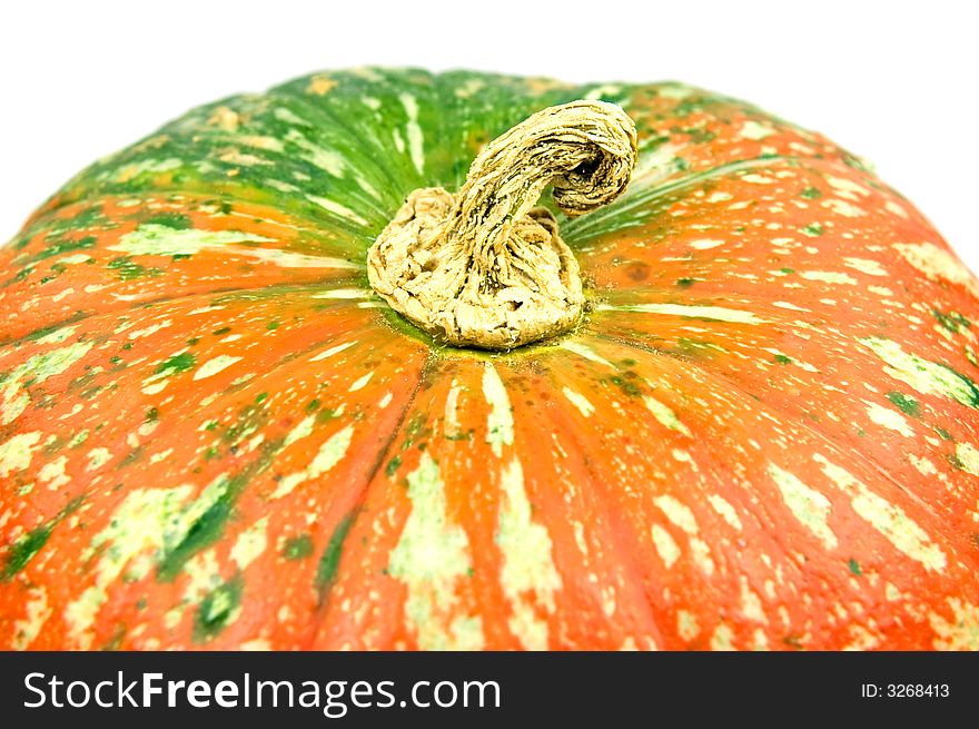 Closeup of Pumpkin with colored spots