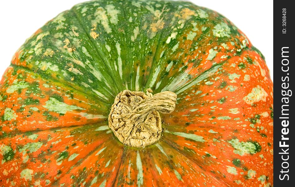Closeup of Pumpkin with colorful spots