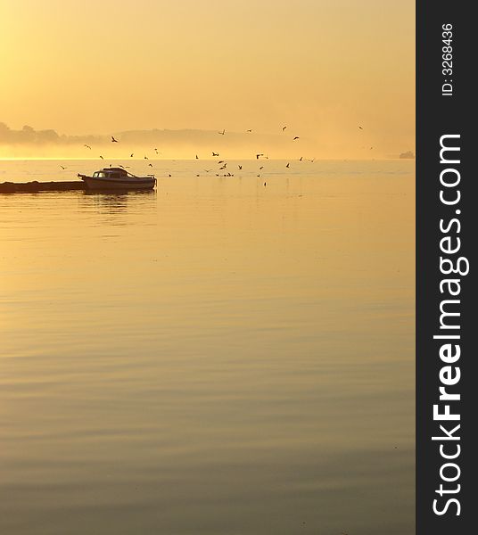 River in dawn. Boat, seagulls and mist.