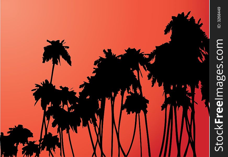 Coconut palm trees silhouettes - graphic illustration. Coconut palm trees silhouettes - graphic illustration