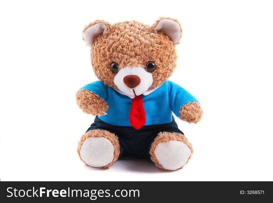 Business, office teddy bear