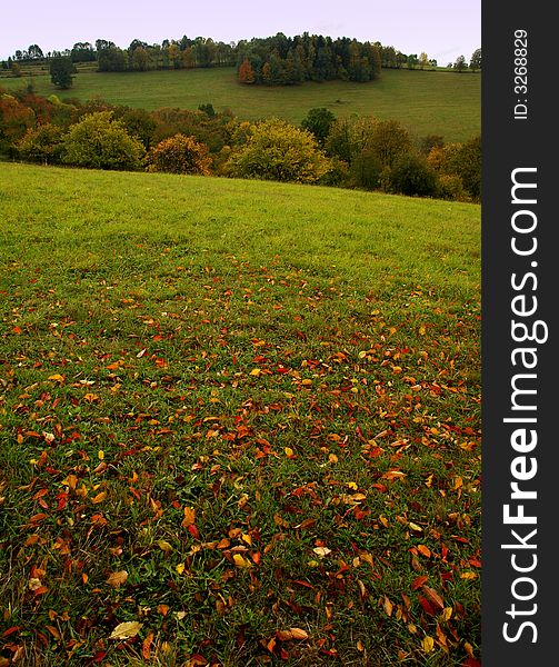 Autumn bohemian landscape - meadows with leaves in foreground. Autumn bohemian landscape - meadows with leaves in foreground.