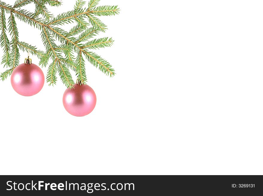 Two pink balls on a fur-tree branch on a white background.