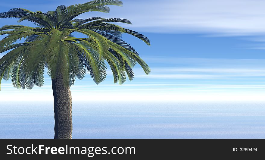 Beautiful landscape with palm. 3d image