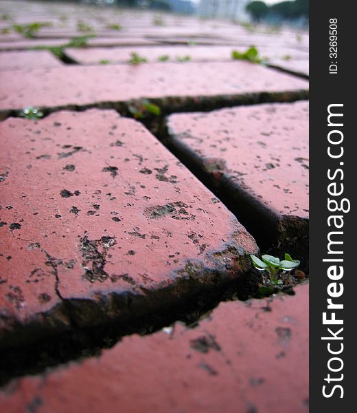 Brick Tiled Floor