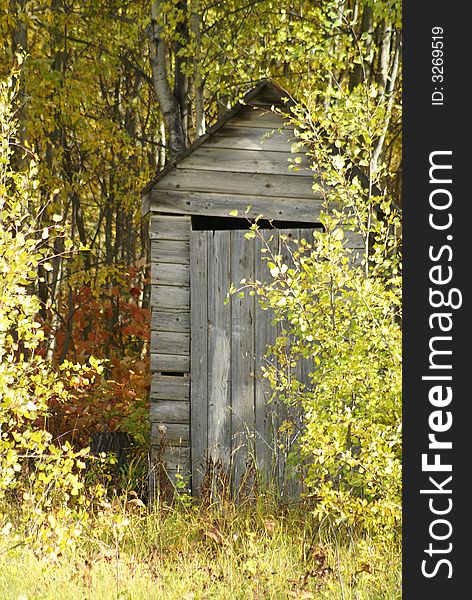 Outside wood bathroom outhouse overgrown in rural bush. Outside wood bathroom outhouse overgrown in rural bush.