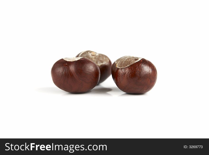 Three chestnuts isolated on white background