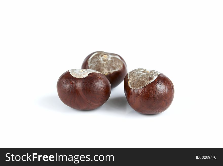 Three chestnuts isolated on white background