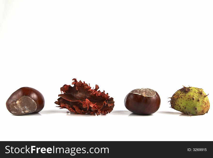 Chestnuts isolated on white background. real autumn