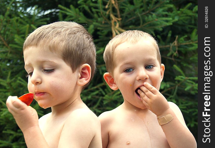 Two babies eat peach in village house garden. Two babies eat peach in village house garden