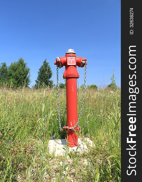 Fire hydrant in overgrown grass