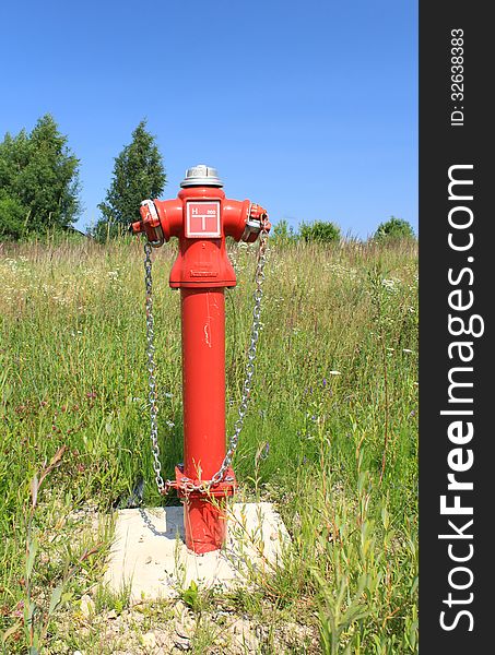 Fire hydrant in overgrown grass