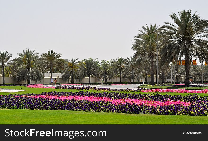 Public Space In Flowers - Dubai