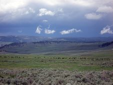 Lamar Valley, Yellowstone NP Royalty Free Stock Image