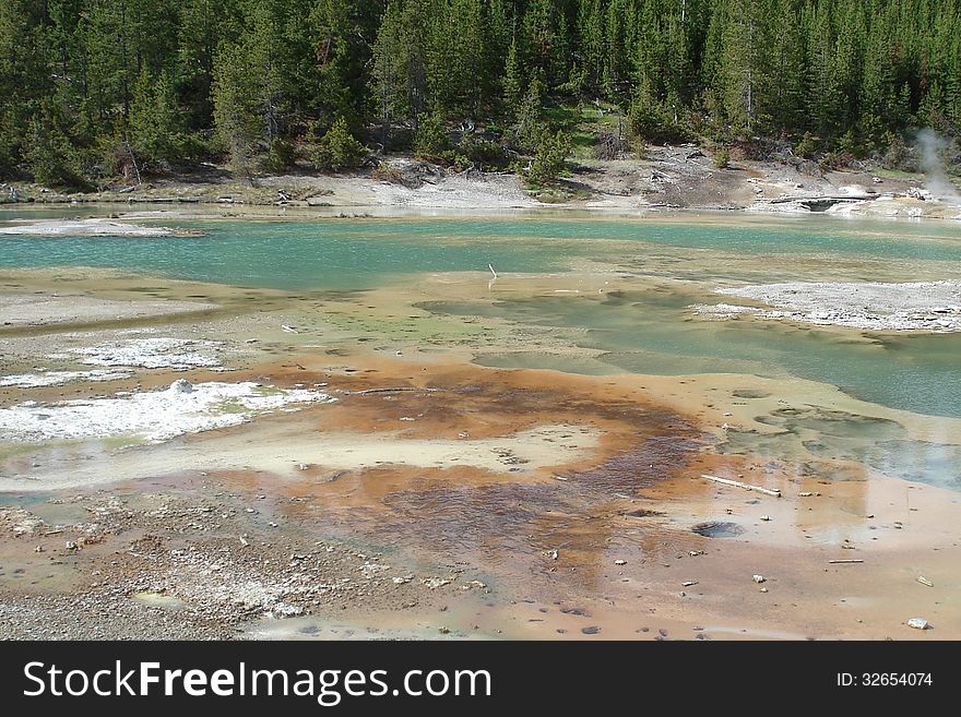 Crackling Spring, Norris Basin, Yellowstone NP, Wyoming