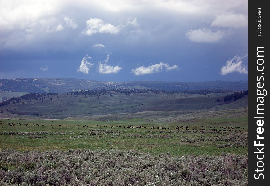 Lamar Valley, Yellowstone NP