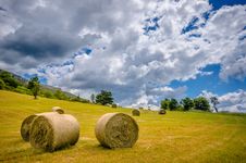 Hay Sheaf In A Field Royalty Free Stock Photography