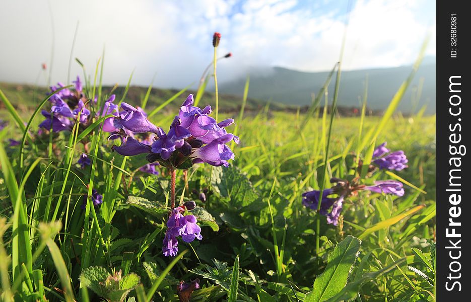 Landscape of Cha Mountain in Yu County, Hebei Province, China. Landscape of Cha Mountain in Yu County, Hebei Province, China