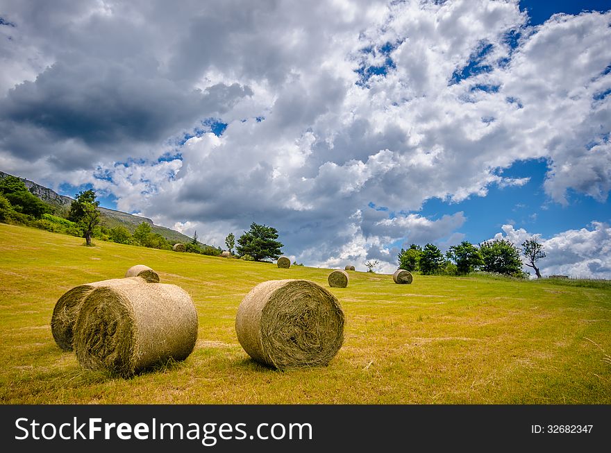 Hay Sheaf in a field