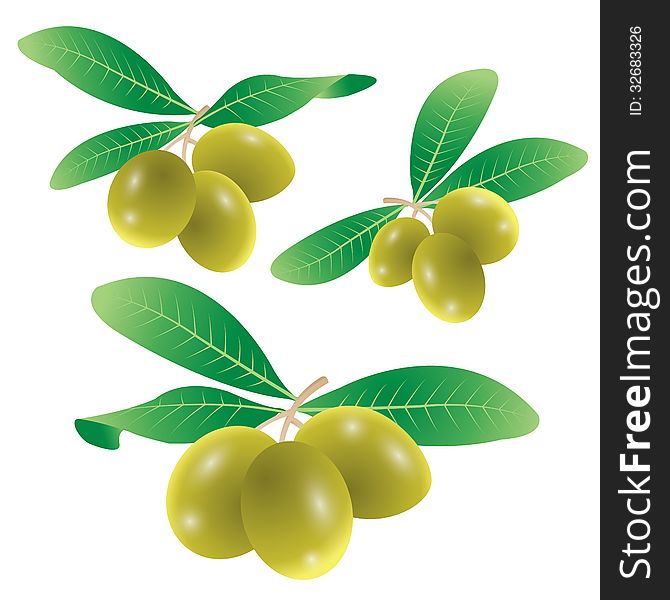 Set of olives vector