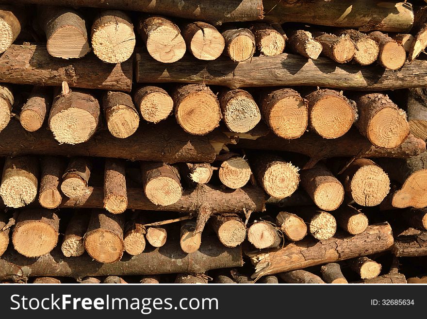 Gathered splitted firewood pieces texture. Gathered splitted firewood pieces texture