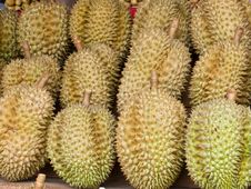 Durian Royalty Free Stock Image Durian Royalty Free Stock Image