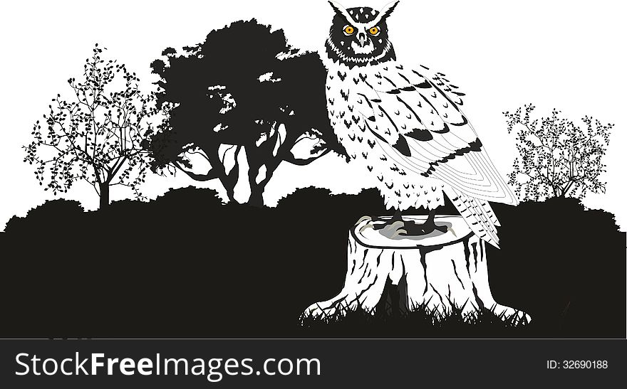 Owl image black white style. Owl image black white style