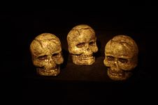 3 Skulls Stock Photography