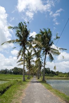 Water Paddies Village View Stock Photos Water Paddies Village View Stock Photos