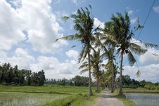Water Paddies Village View Royalty Free Stock Photography Water Paddies Village View Royalty Free Stock Photography