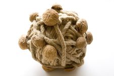 Concept Art Walnut Bundle Royalty Free Stock Photo Concept Art Walnut Bundle Royalty Free Stock Photo
