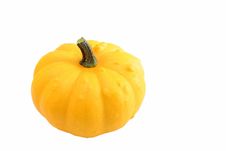 Ornamental Squash Royalty Free Stock Photography Ornamental Squash Royalty Free Stock Photography