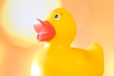 Rubber Duck Stock Photo