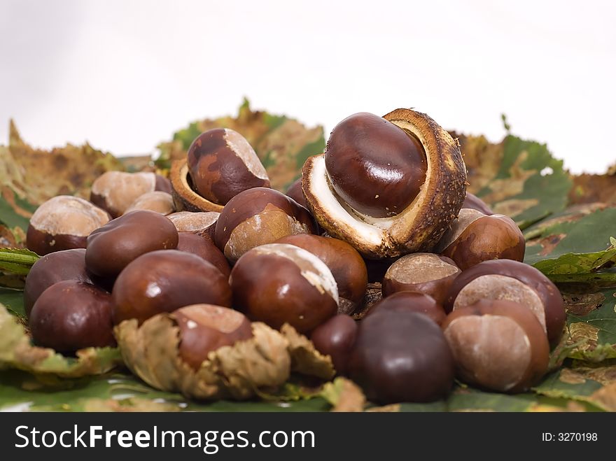 Autumn leaves and chestnuts - isolated