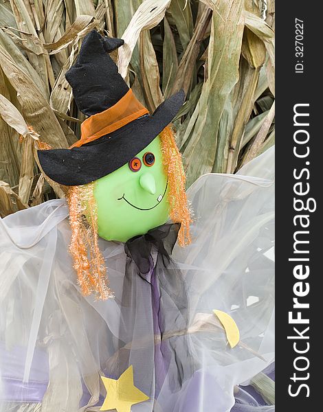 A halloween witch scarecrow hanging against a background of dried cornstalks.