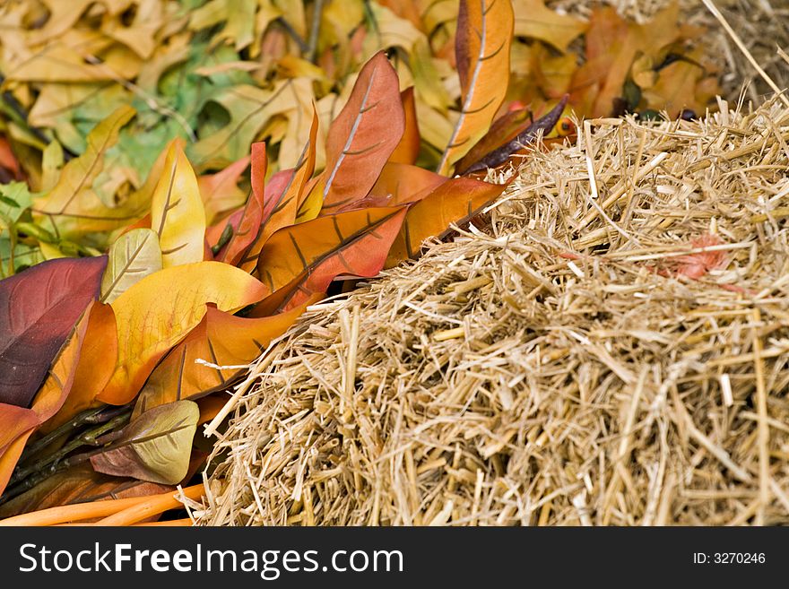 A background for Autumn of warm colors - colorful leaves and straw. A background for Autumn of warm colors - colorful leaves and straw.