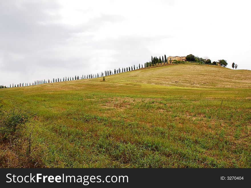 The typical Panorama in Tuscany. The typical Panorama in Tuscany