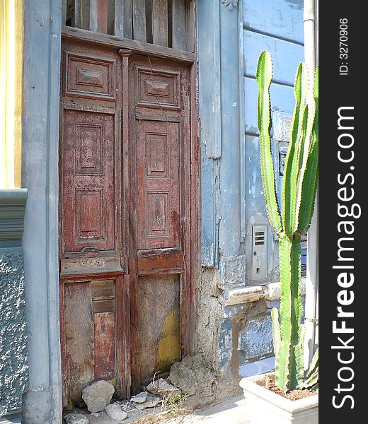 Old door to old house, with cactus plant outside. Old door to old house, with cactus plant outside