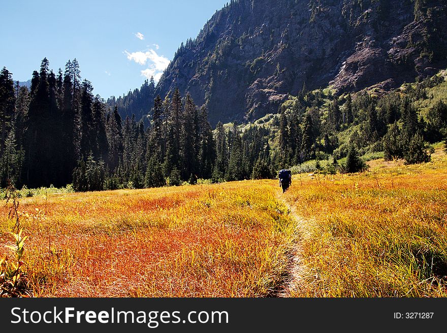 Hikers passing through Honeymoon Meadows in the Olympic National Park, Washington, an enchantingly beautiful area of the park.