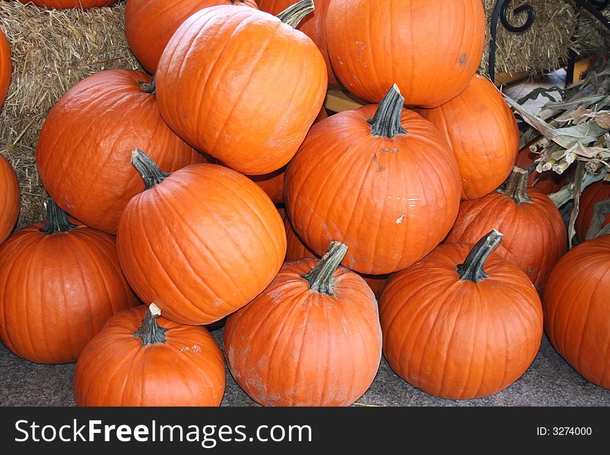 View of a pile of pumpkins.