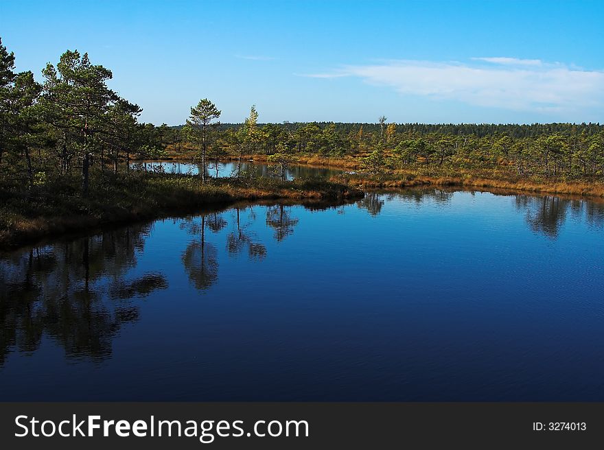 Small lake in the marsh