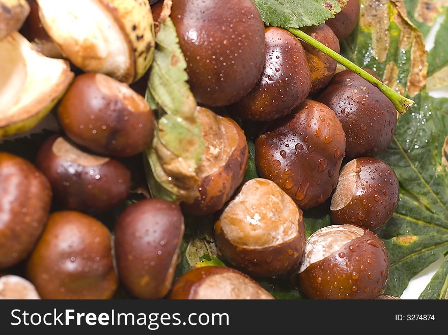 Autumn leaves and chestnuts - isolated