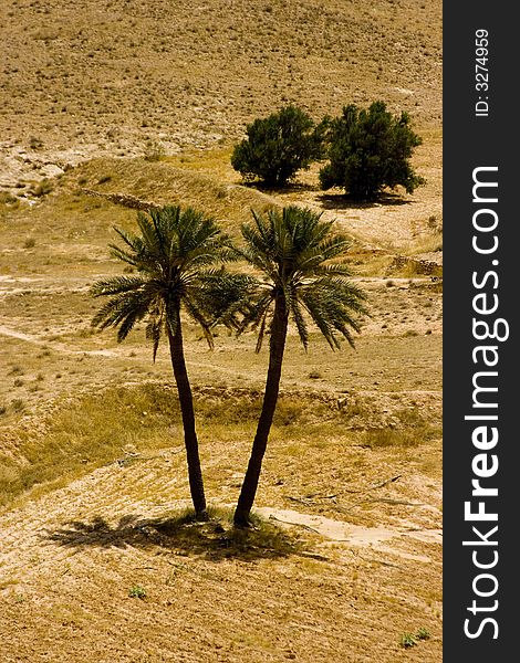 Arid landscape near Sahara Desert