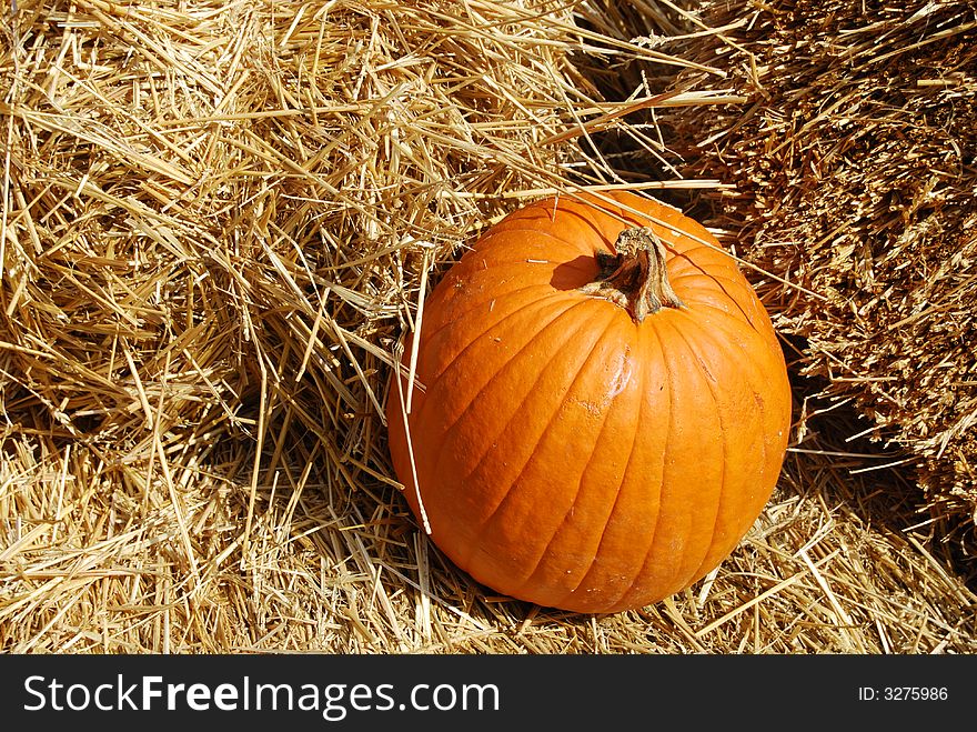 A pumpkin in the straw. A pumpkin in the straw