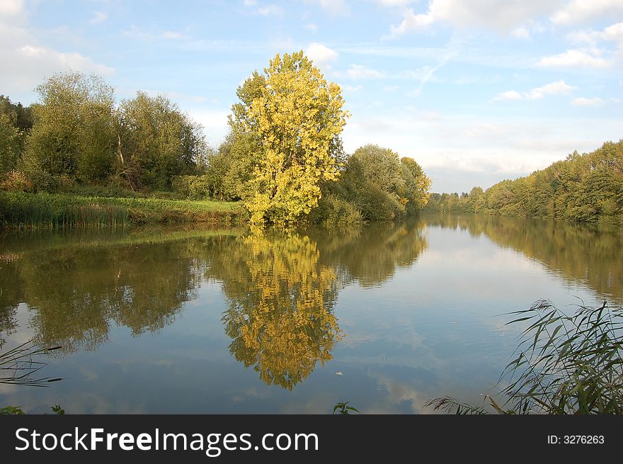 Lake with trees around in autumn. Lake with trees around in autumn