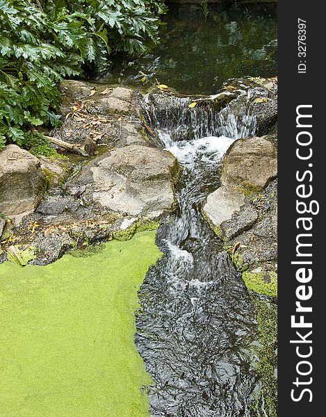 Rock stream with green algae