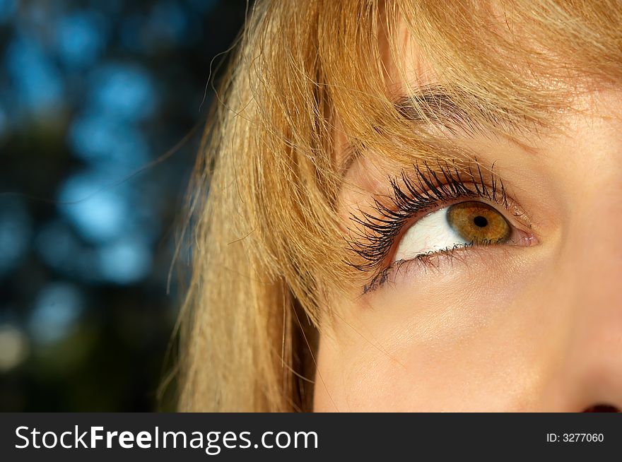 Beautiful blond girl's eye closeup. selective focus.